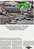 Chevrolet 1965 0.jpg